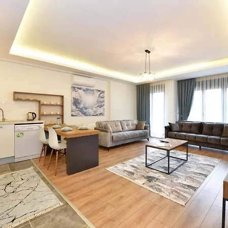 Apartment Lion