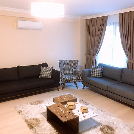 Lion Daire İstanbul